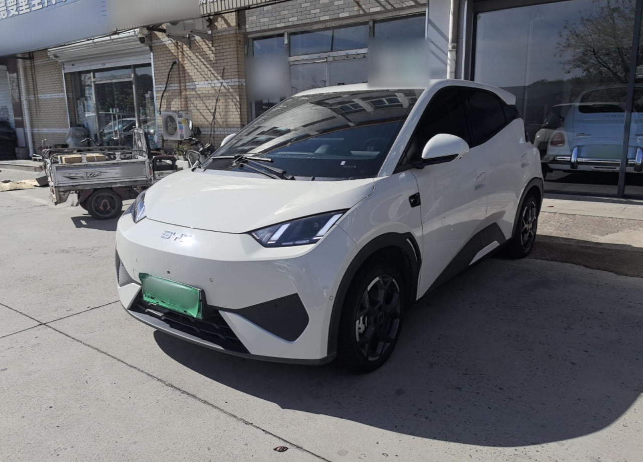 Seagull 2025 ADAS 305km