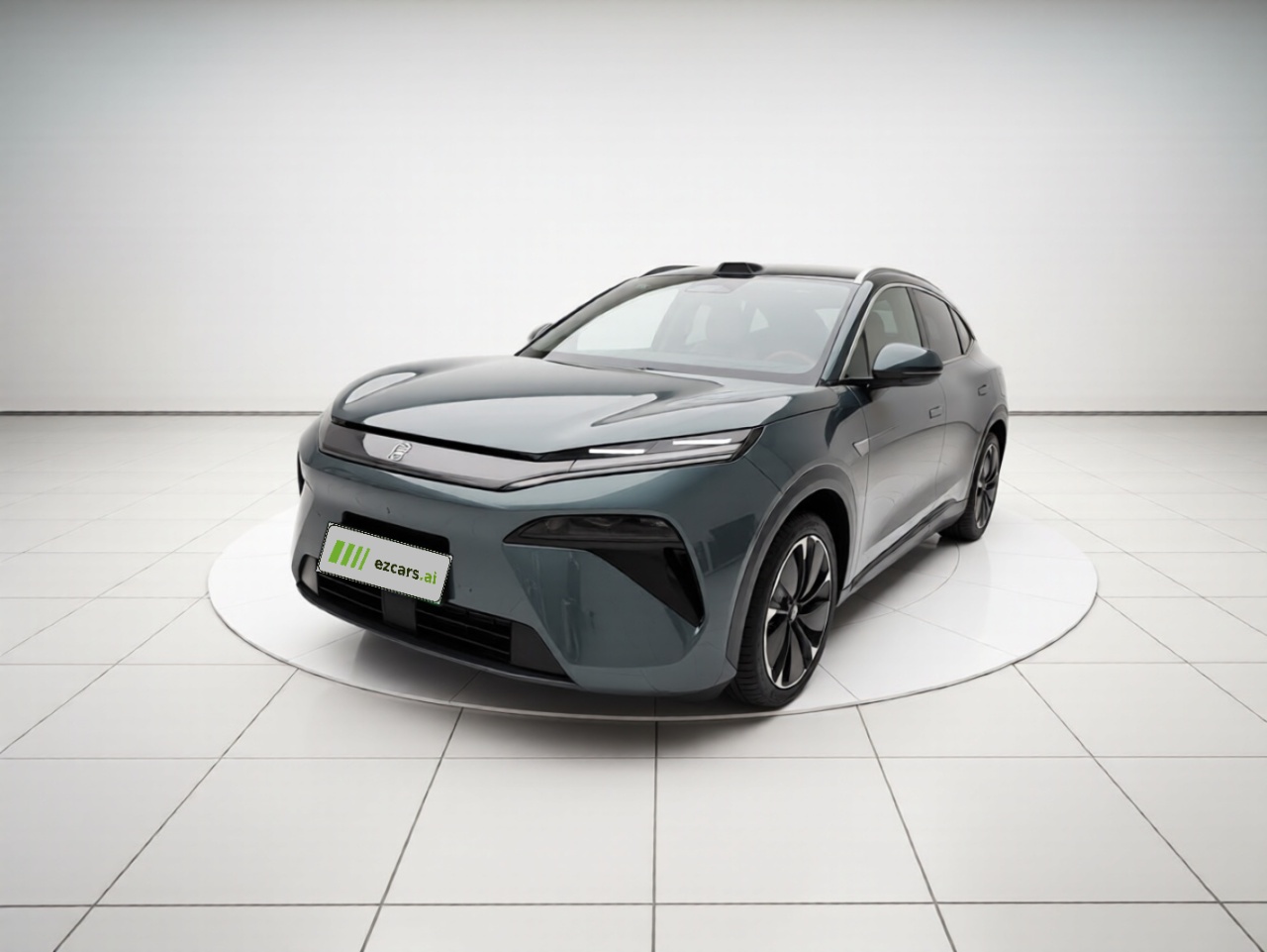 Tang L 2025 DM 175KM