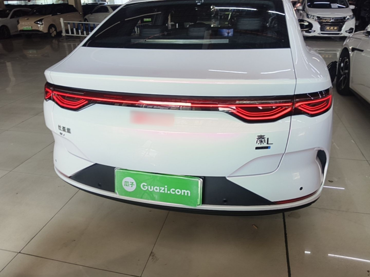 Qin L 2025 EV 545KM photo 5