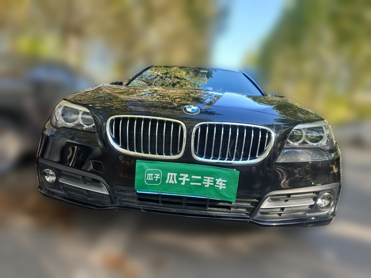 5 Series 2014 520Li photo 2