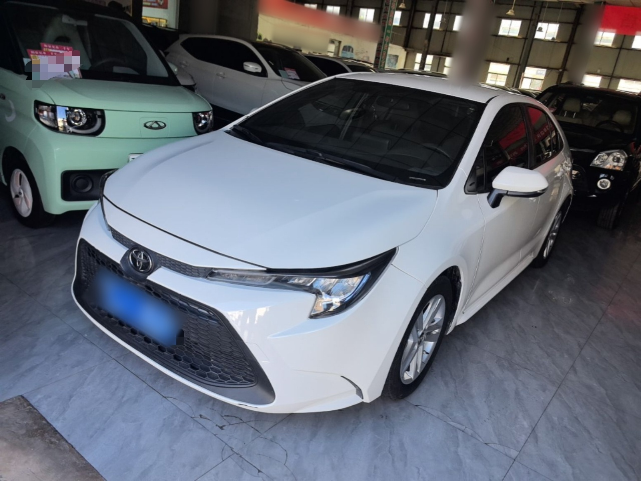 Levin 2022 TNGA 1.5L CVT Progressive