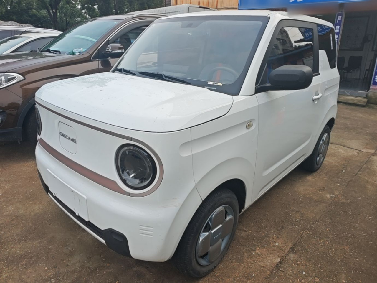 2023 Panda mini 200km Endurance Bear