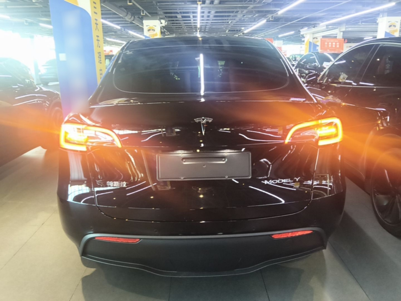 Model Y 2023 RWD photo 5