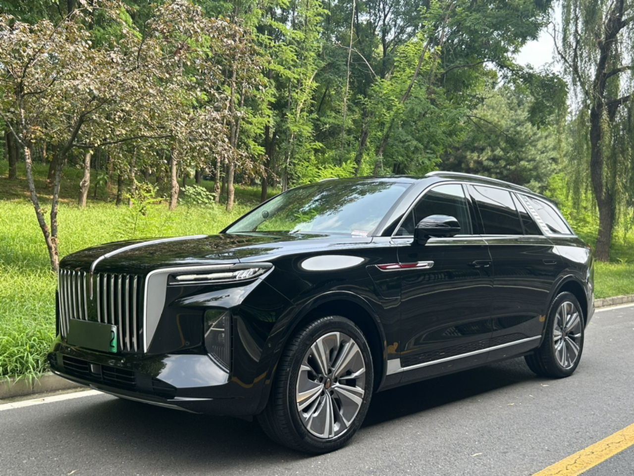 E-HS9 2021 460km 6-Seater
