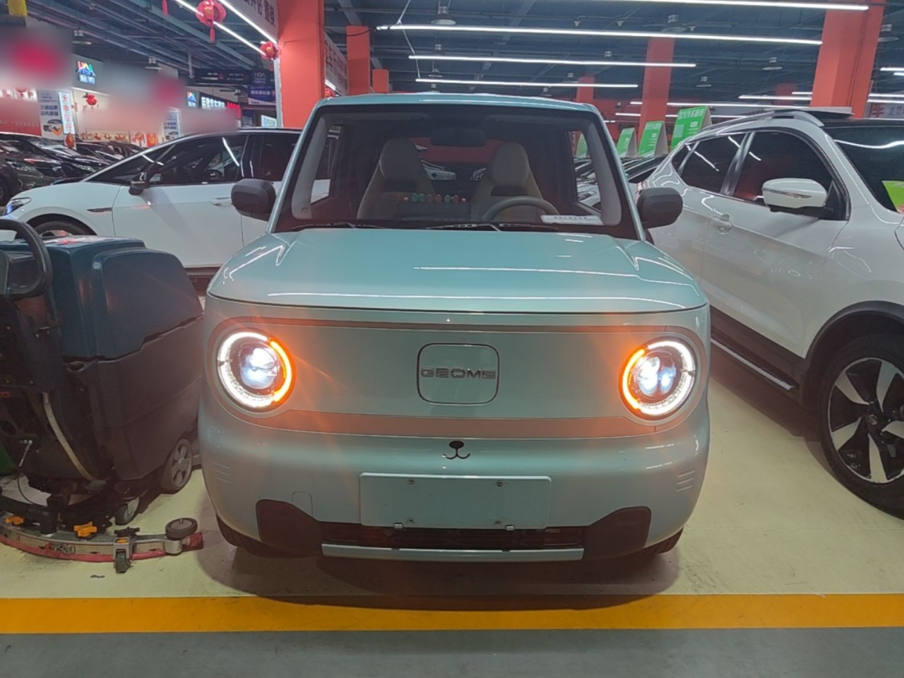 2023 Panda mini 200km Endurance Bear photo 2