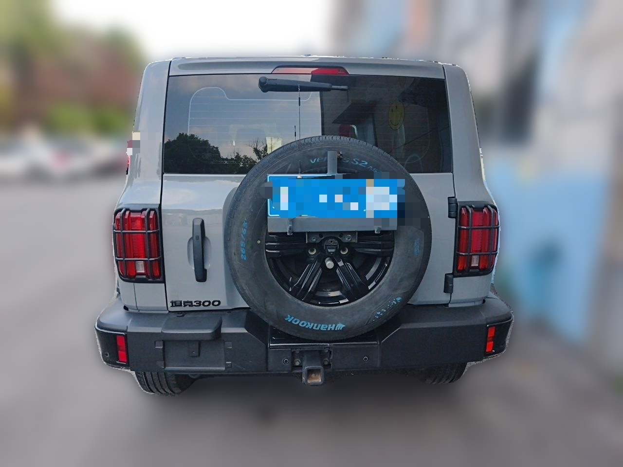 300 2023 Off-road 2.0T Conqueror photo 5
