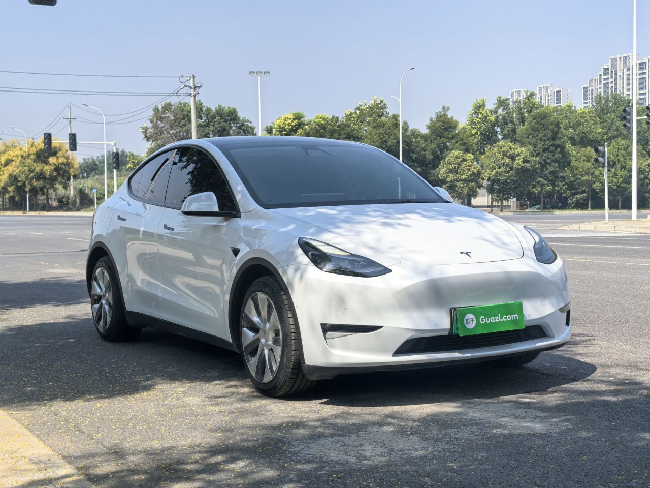 Model Y 2021 Standard Range RWD photo 4