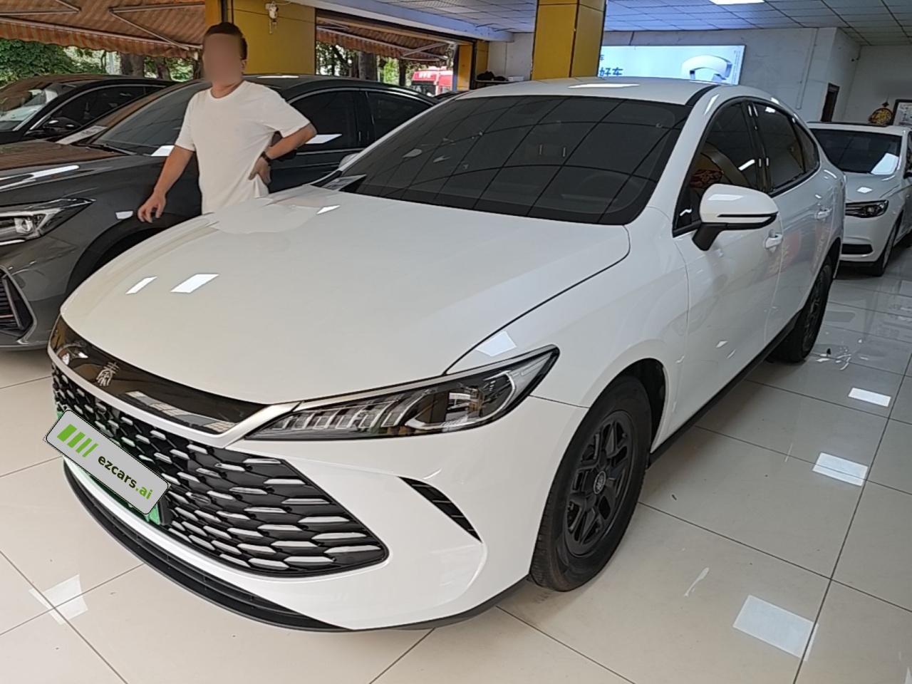 Qin PLUS 2025 DM-i ADAS 55KM Leading