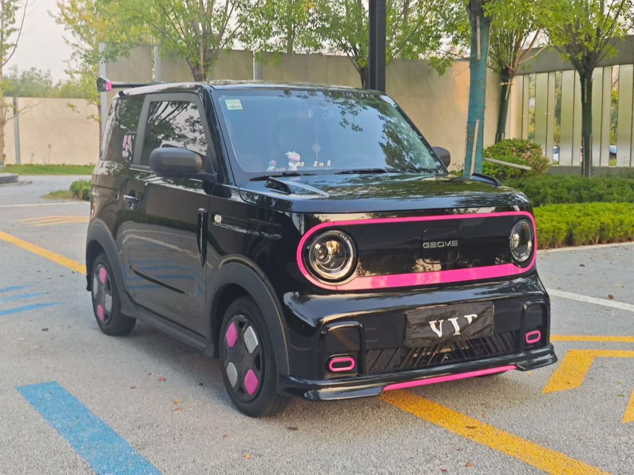 2025 210km Panda photo 4