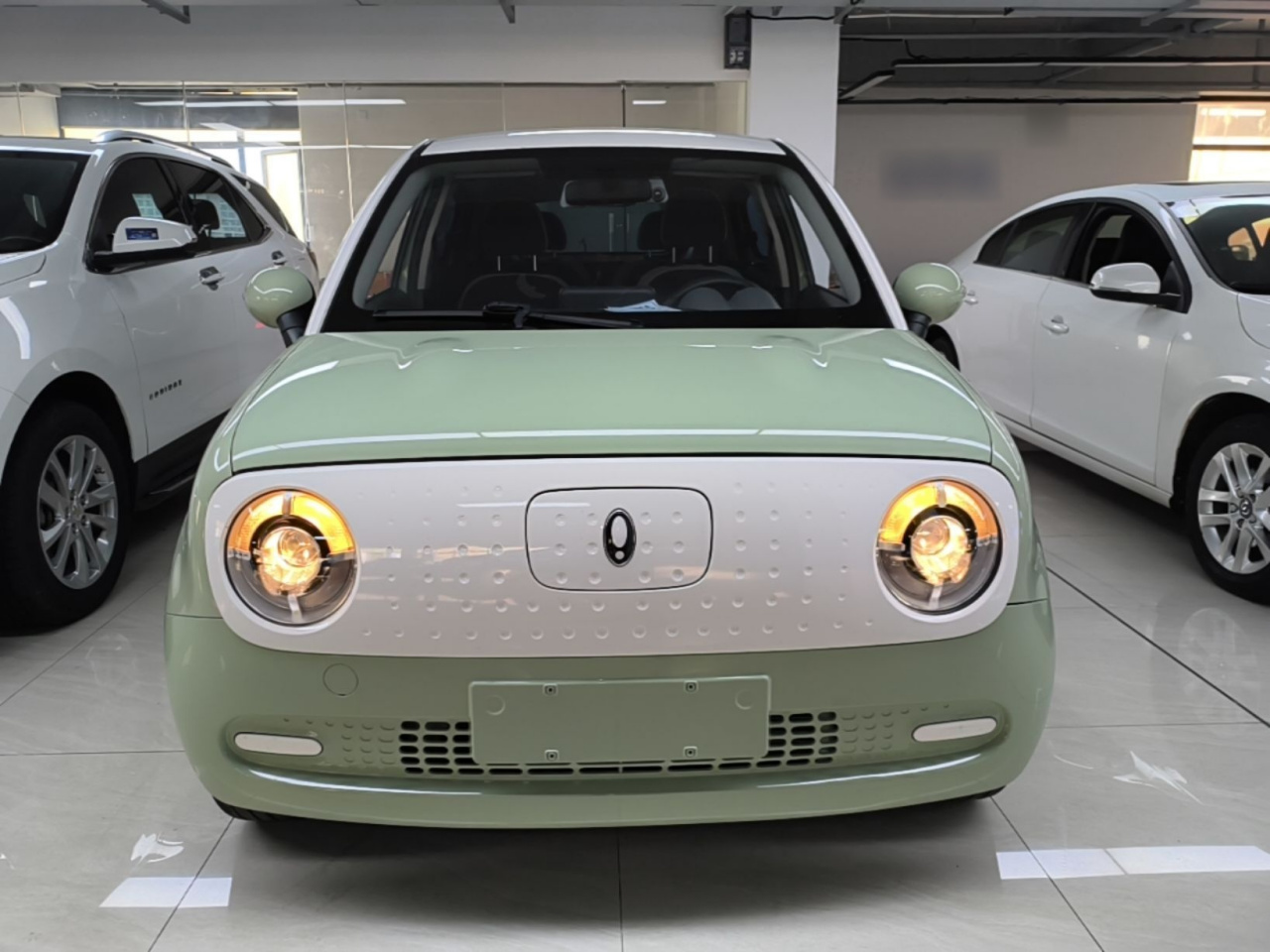 2022 Facelift 301km LFP photo 2