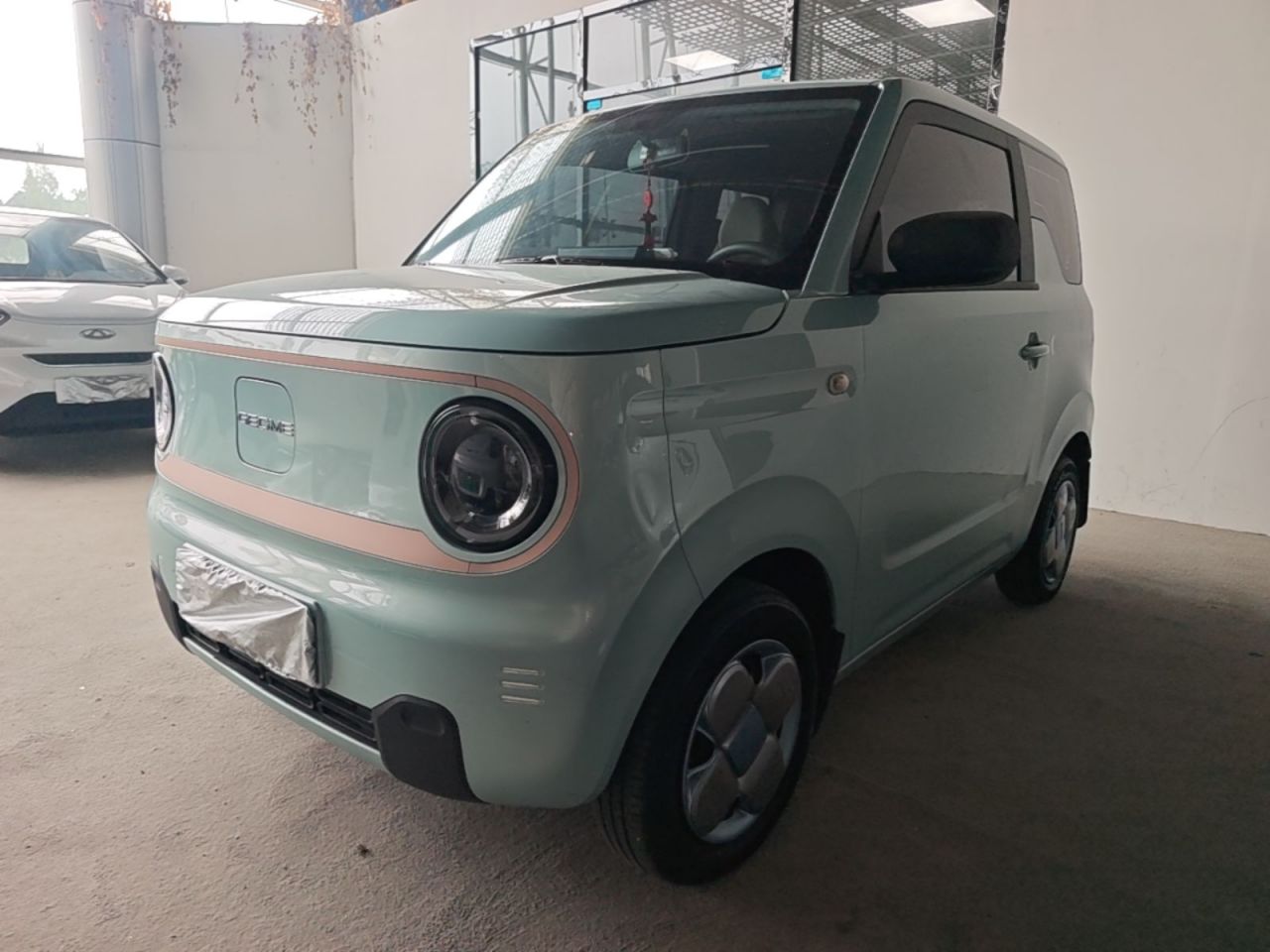 2023 Panda mini 200km Endurance Bear