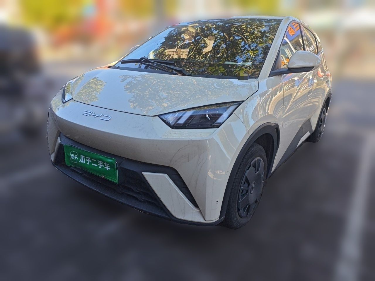 Seagull 2023