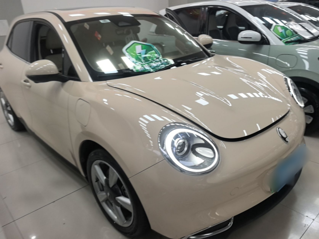 Good Cat 2022 400km Standard Range Premium LFP photo 3