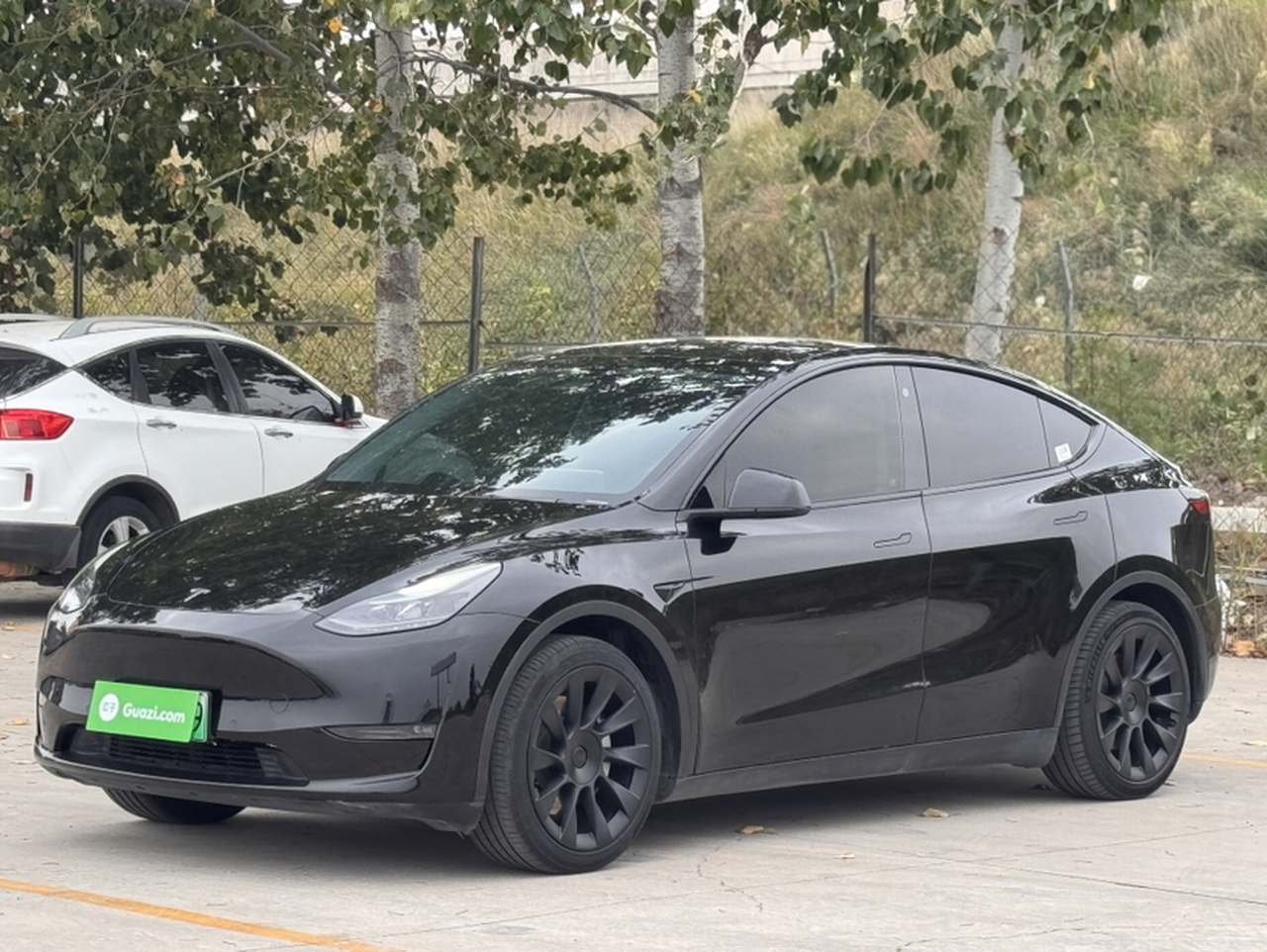Model Y 2021 Standard Range RWD
