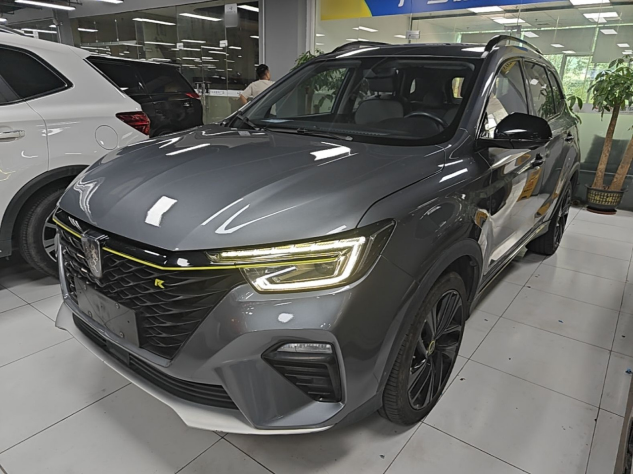 RX5 EV 2020 ePLUS Luxury