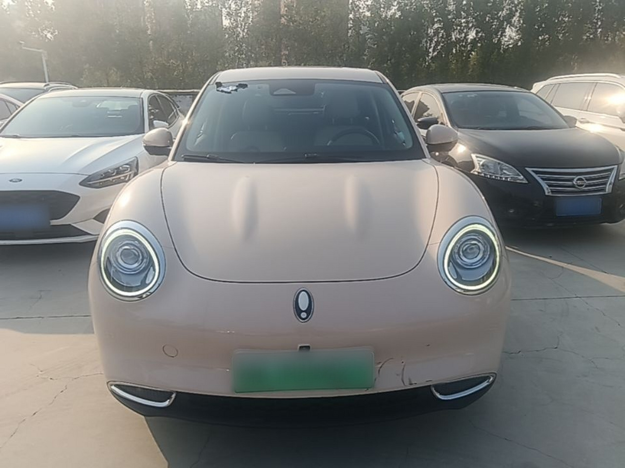 Good Cat 2021 400km Standard Range NCM photo 2