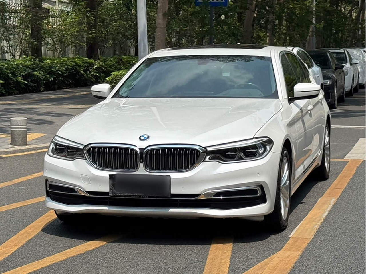 5 Series 2020 530Li Exclusive Luxury