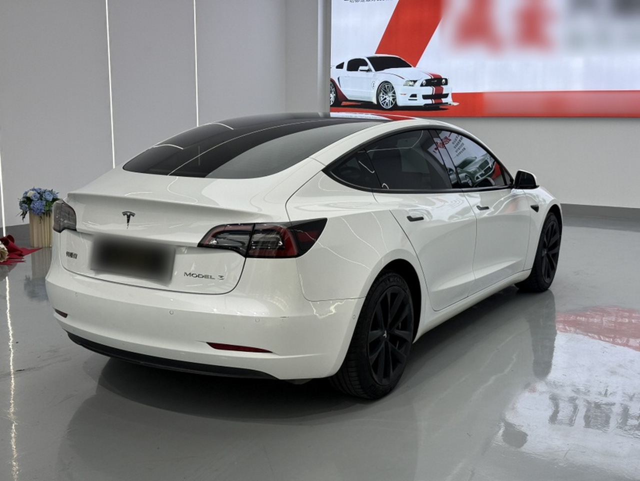 Model 3 2022 RWD photo 4