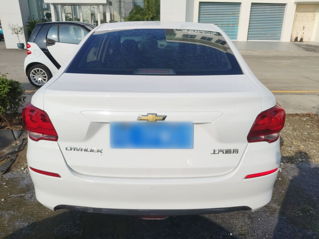 Cavalier 2019 320 AT photo 3
