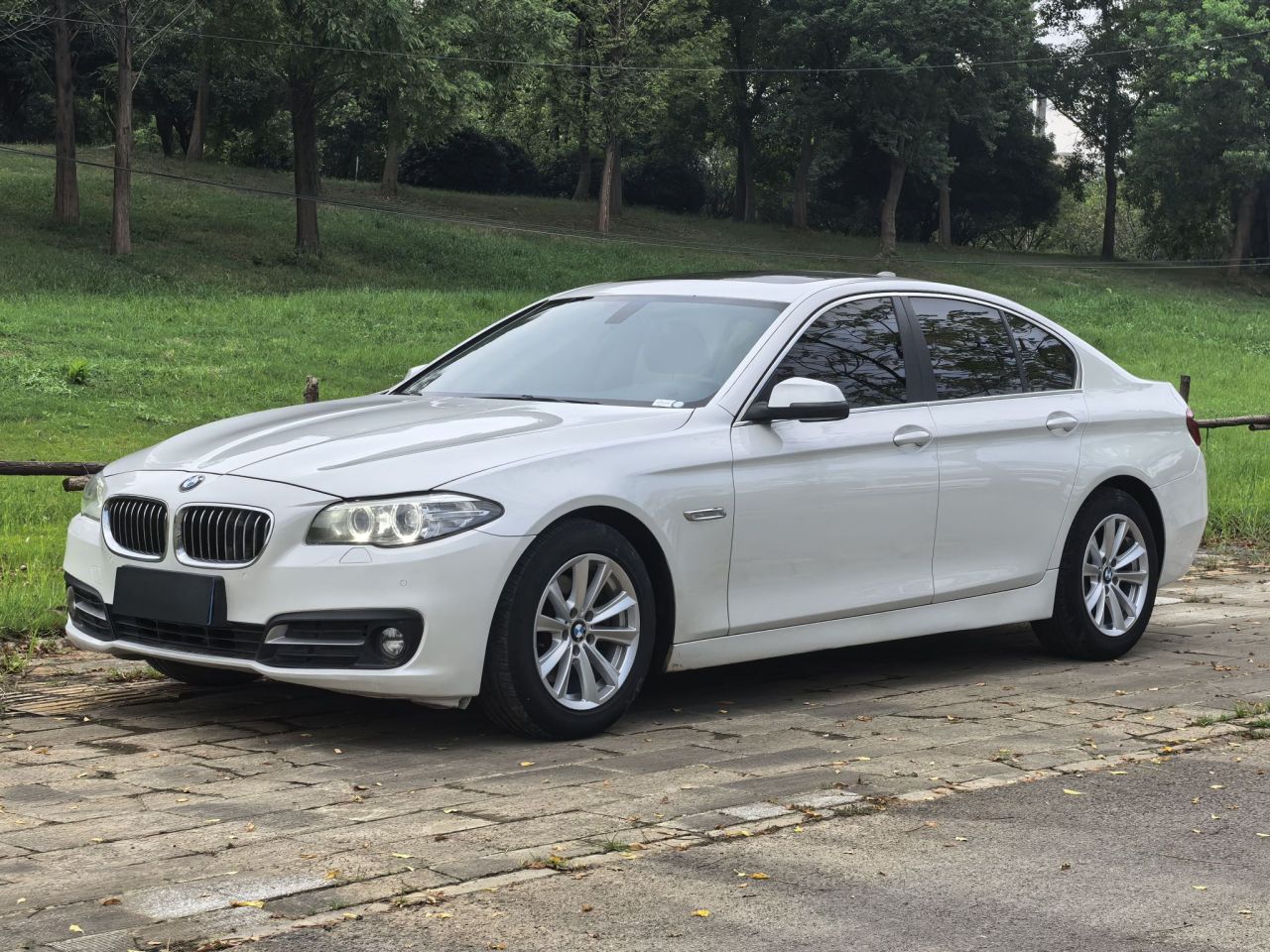 5 Series Imported 2015 520i