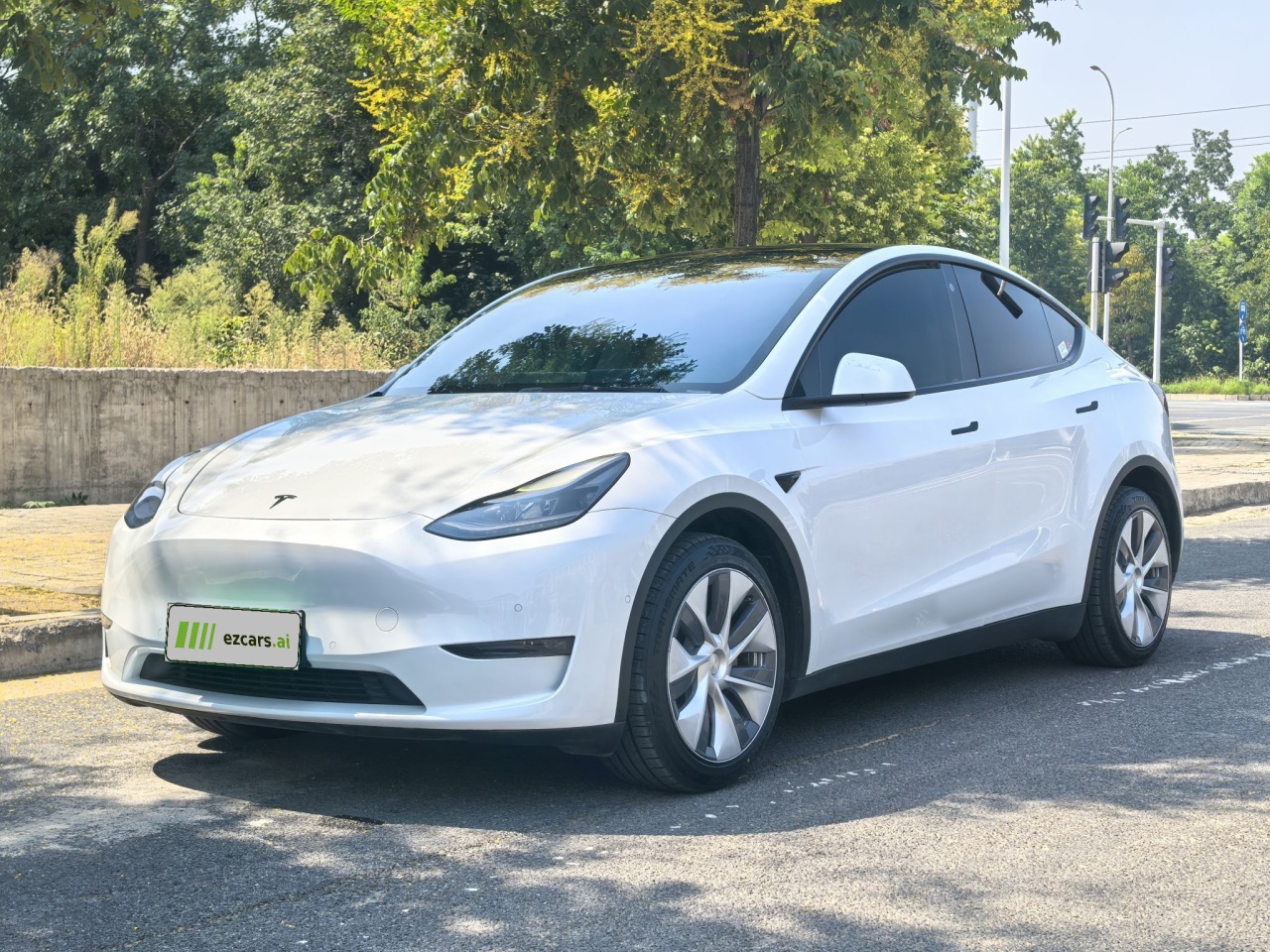 Model Y 2021 Standard Range RWD