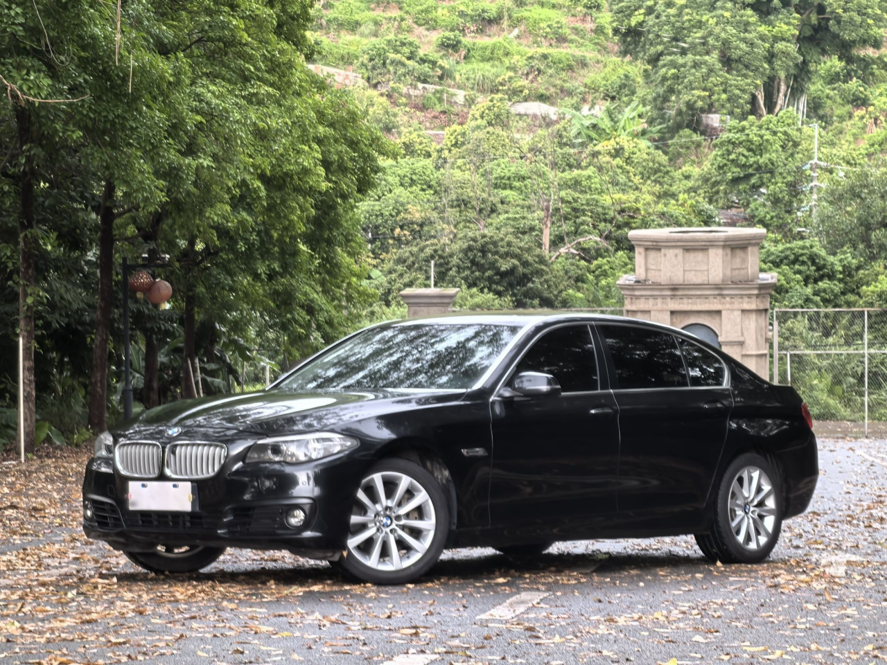 5 Series 2014 535Li Leading