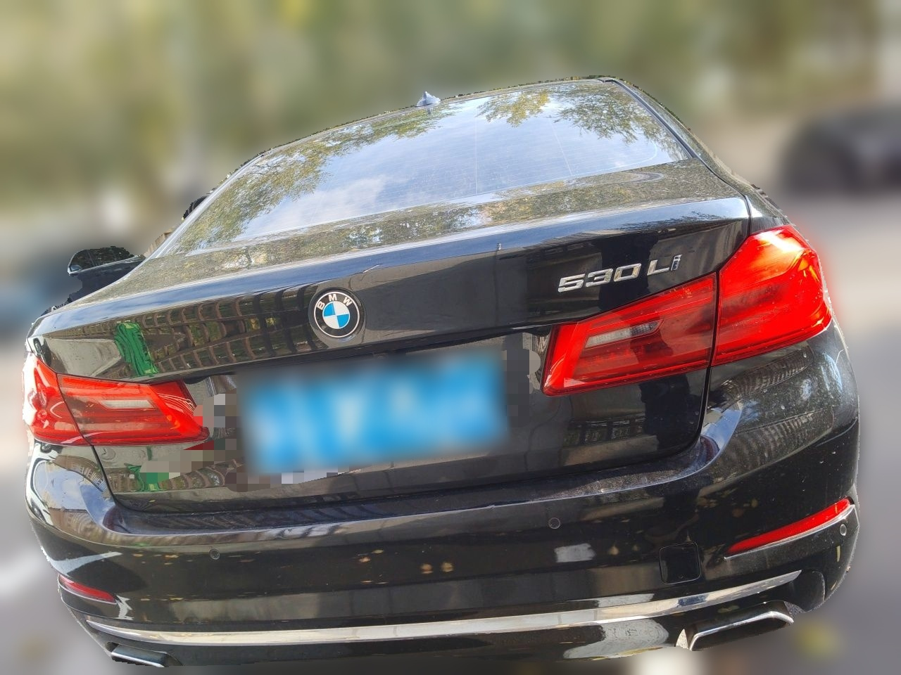 5 Series 2020 530Li Leading Luxury photo 5