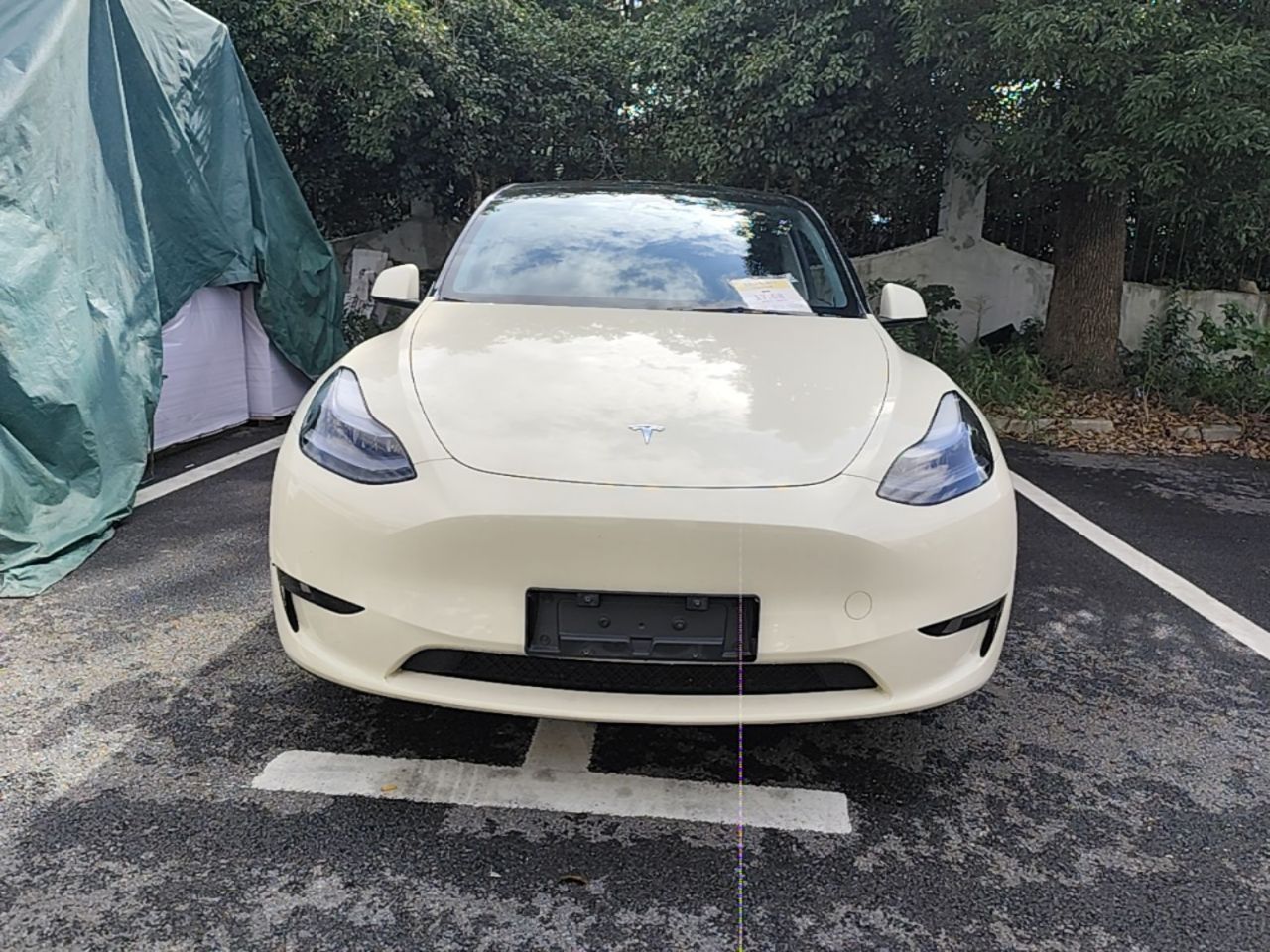 Model Y 2023 RWD photo 2