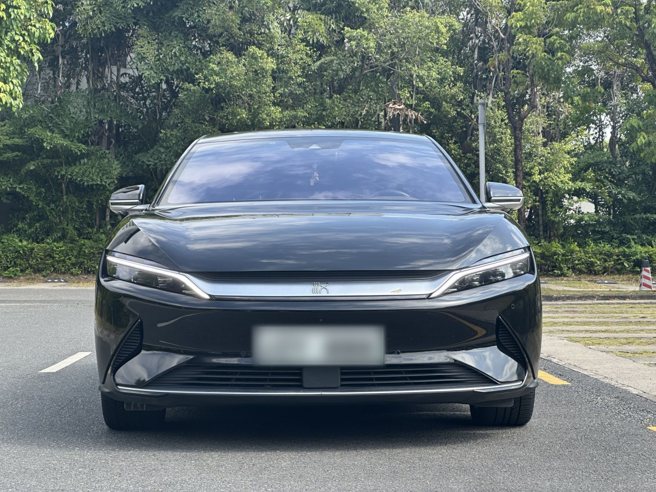 Han 2020 EV Extended Range Luxury photo 4