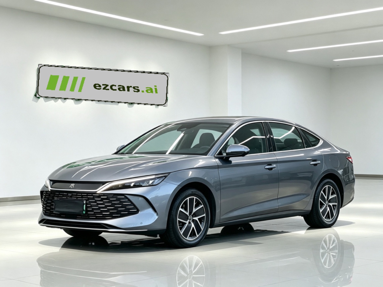 Qin L 2024 DM-i 120KM