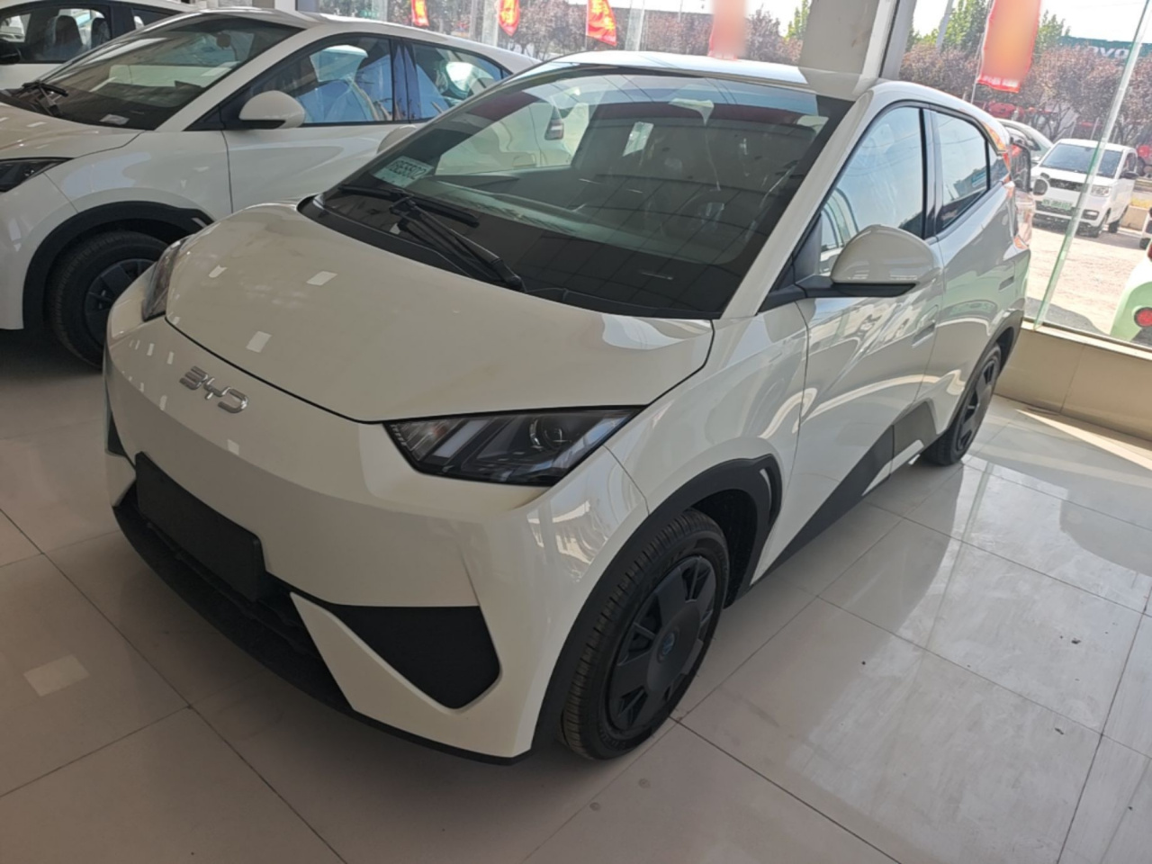 Seagull 2025 ADAS 305km