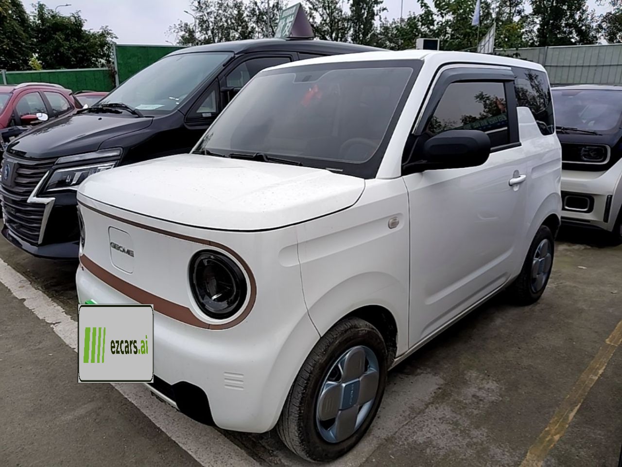 2025 210km Panda