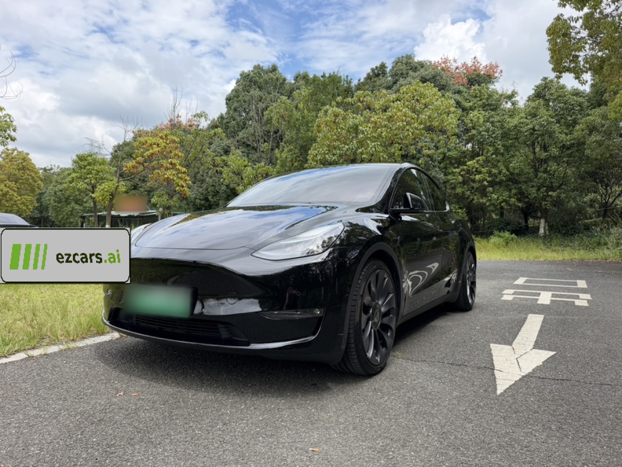 Model Y 2022 Performance AWD