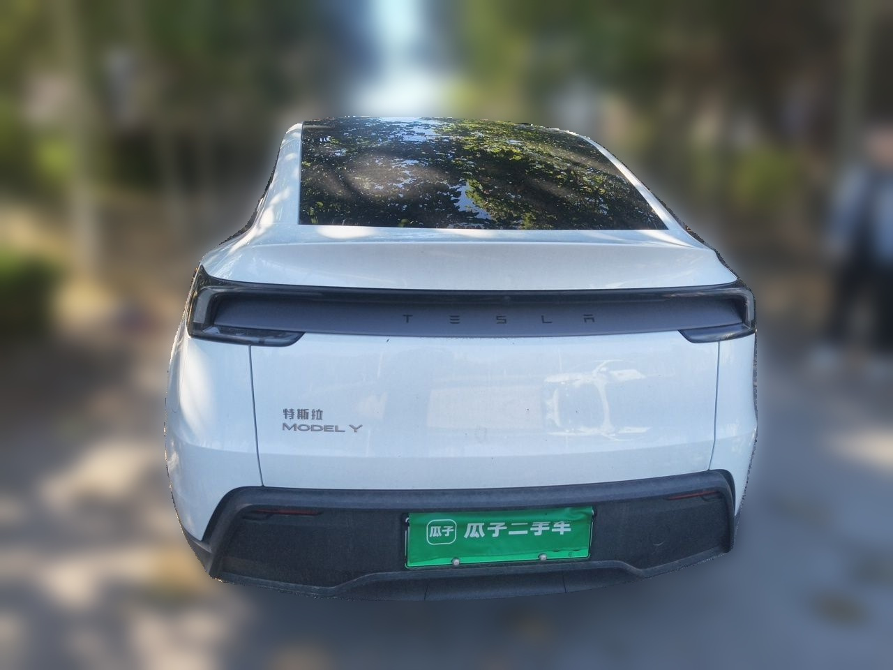 Model Y 2025 RWD photo 5