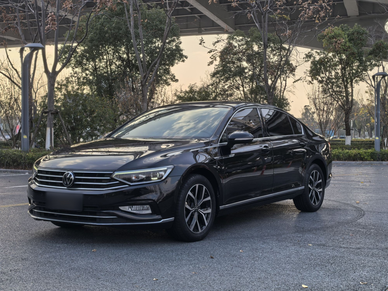 Magotan 2020 330TSI DSG Luxury
