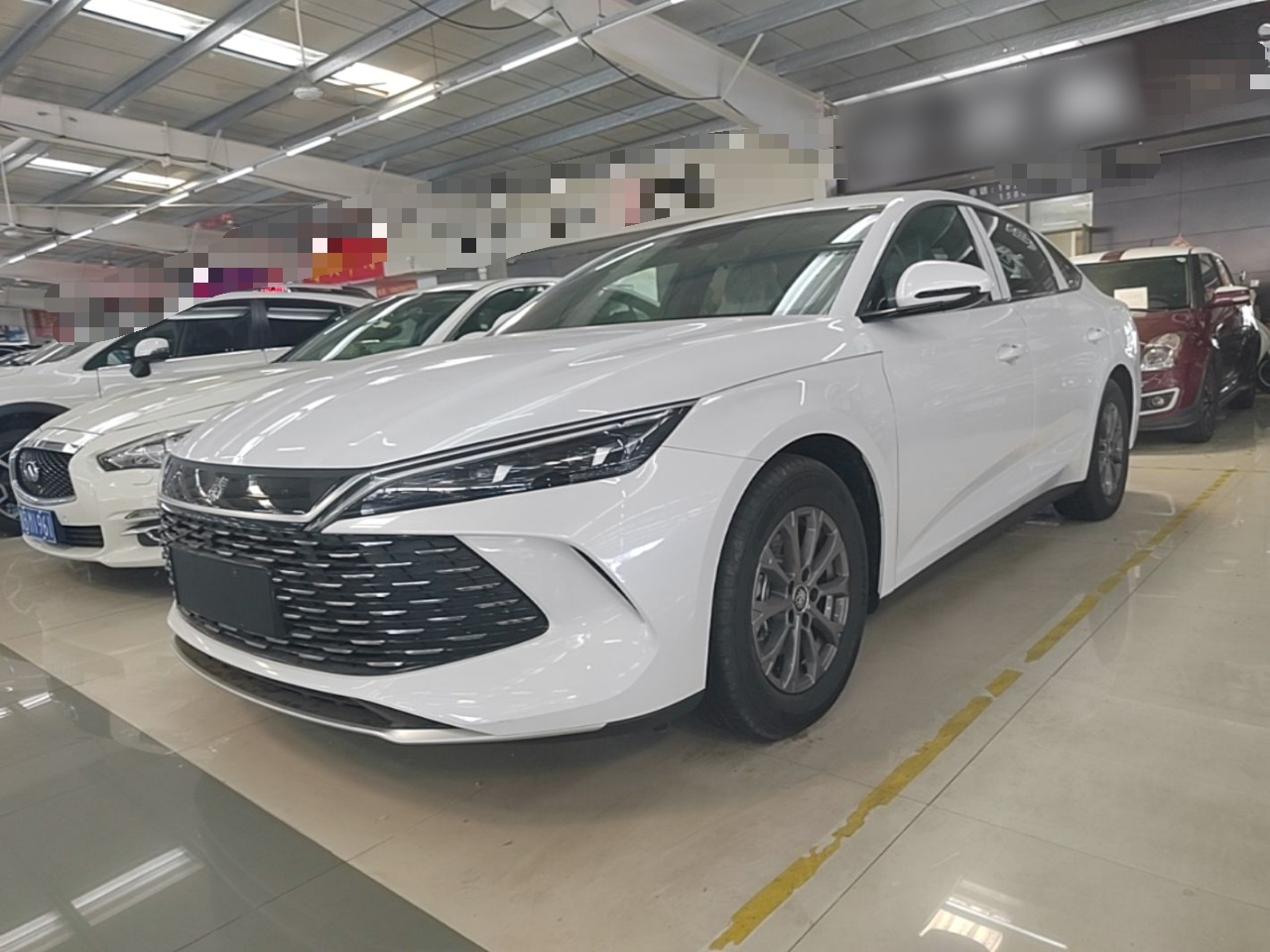 Qin L 2024 DM-i 80KM Leading