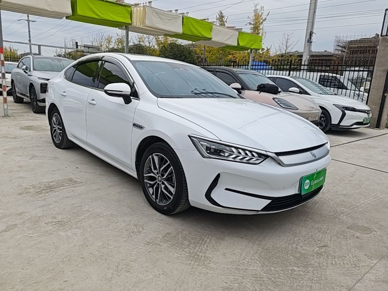 Qin PLUS 2024 Honor EV 510KM Excellence photo 3