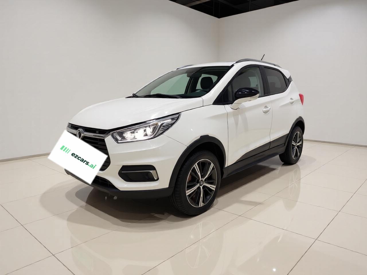 Yuan EV 2019 EV535 Pilot