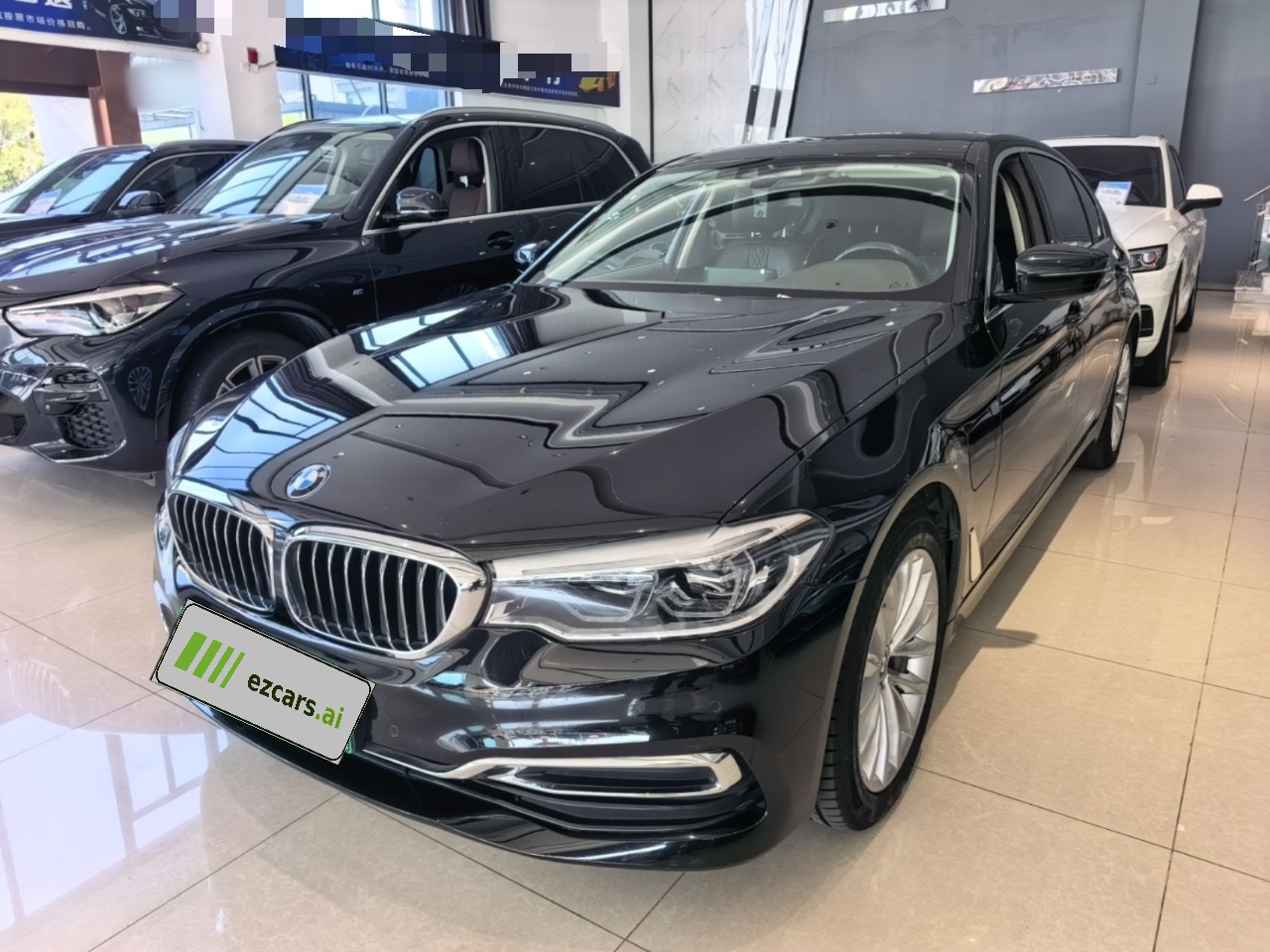 5 Series EV 2020 Upgraded 530Le Luxury