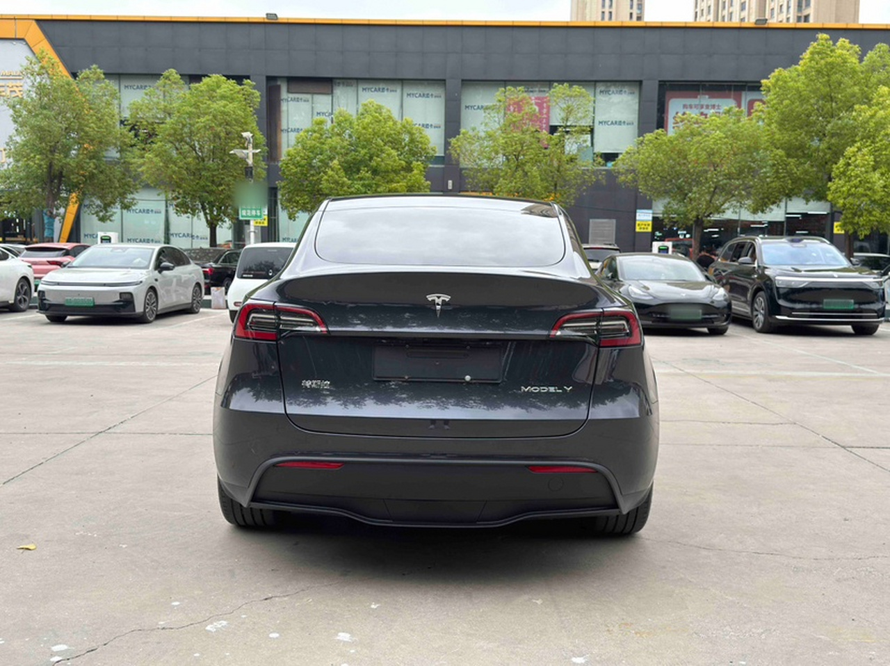 Model Y 2024 RWD photo 2