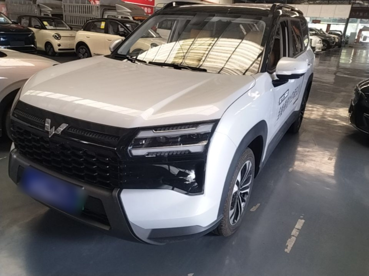 560 EV 2026 125km Luxury