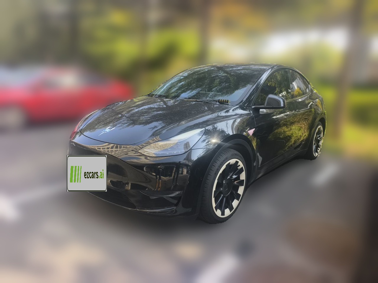 Model Y 2021 Standard Range RWD