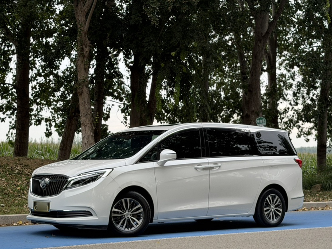 GL8 2017 ES 28T Luxury China V